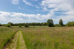Groningen und Drenthe Veenkoloniën