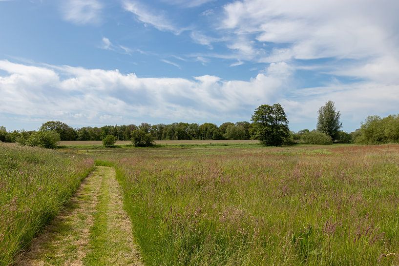 Groningen and Drenthe Veenkoloniën by Johan Mooibroek