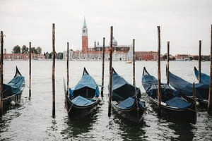 Gondoles à Venise