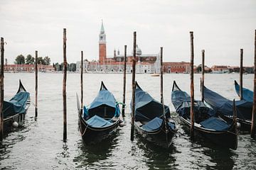 Gondolas in Venice by @themissmarple