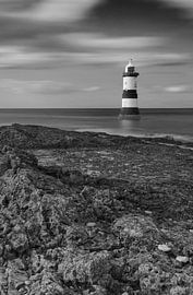 Leuchtturm Anglesey, Wales von Carole Winchester