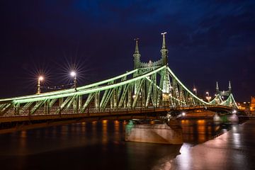 Liberty Bridge in Budapest, Hungary l Reis Fotografie van Lizzy Komen