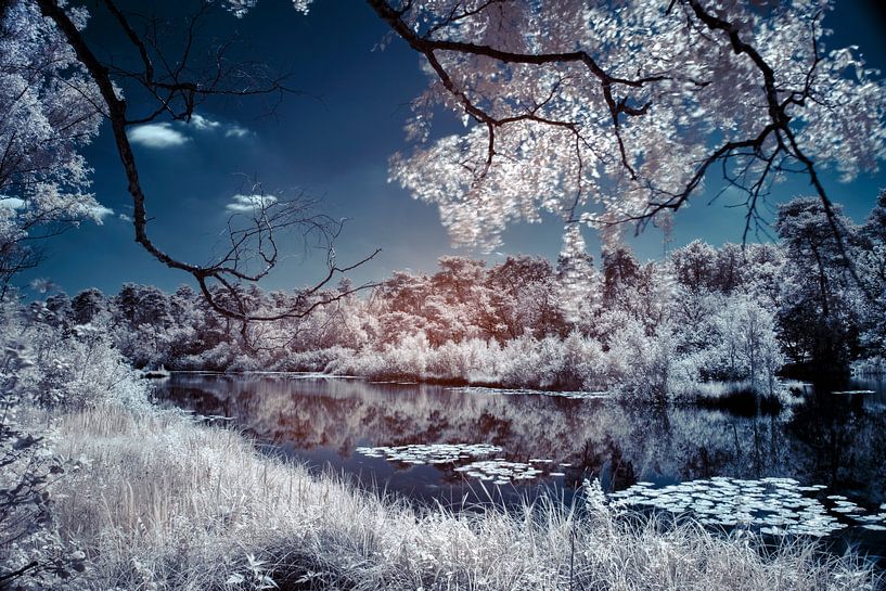 Infrared Ven Oisterwijk by Joris Buijs Fotografie