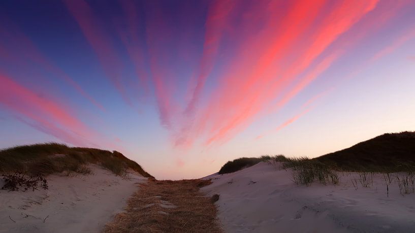Dune by Bo Valentino