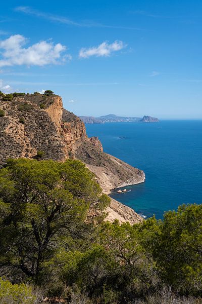 Pins et falaises de la côte méditerranéenne par Adriana Mueller