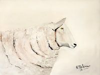 Schaap