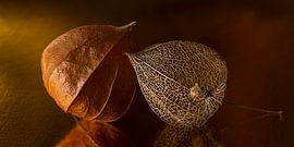 Gemeinsam: zwei Generationen von Laternen in warmen Farbtönen.