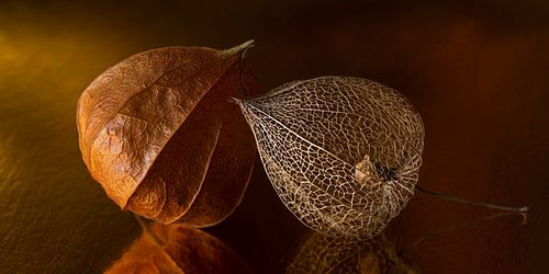 Together: two generations of lanterns in warm hues. by Marjolijn van den Berg