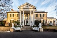 Graceland, the former home of Elvis Presley by Eric van Nieuwland thumbnail