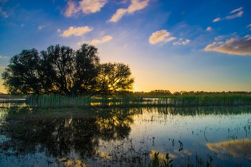 Sunset Hurwenense Kil