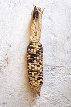 Mexikanische Zuckermais-Schwarz-Gelb-Mischung I Food Photography von Lizzy Komen