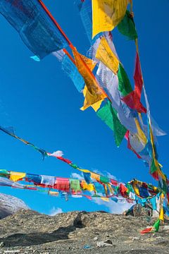 De gebedsvlaggetjes wapperen in de bergen van Tibet van Rietje Bulthuis