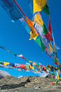  Die Gebetsfahnen in den Bergen von Tibet flattern von Rietje Bulthuis Miniaturansicht