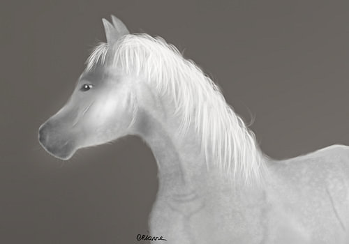 Untitled Artwork Digitaal paardenportret