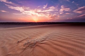Desert by Tilo Grellmann