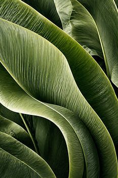 Lush Green Tropical Flow