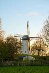 Le moulin de montagne à Anzegem
