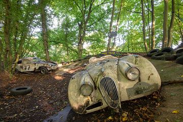 Abandoned in the woods van Henny Reumerman