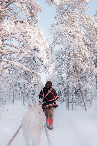 Sami met rendier in het bos | reisfotografie print | Zweden Lapland