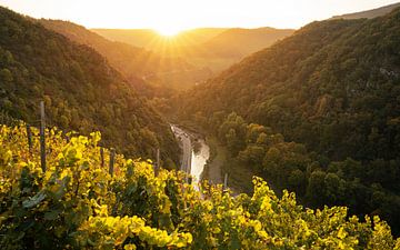 Ahrtal, Rhineland-Palatinate, Germany by Alexander Ludwig