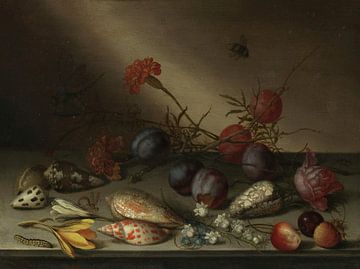 Stilleven met schelpen, vruchten en bloemen, Balthasar van der Ast
