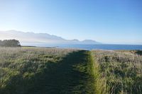Kaikoura Peninsula Walkway