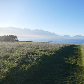 Peninsula Walkway Kaikoura van Mark Sebregts