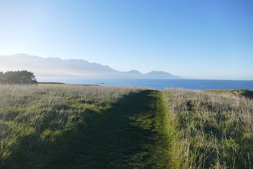 Peninsula Walkway Kaikoura