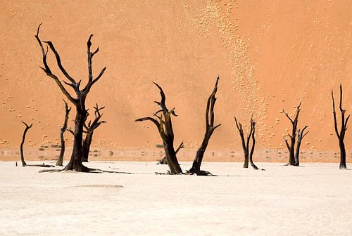 Dead Vlei, Namibia