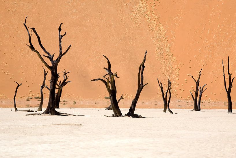 Dead Vlei, Namibia by Angelika Stern