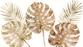 Monstera in Sepia von Kristin M