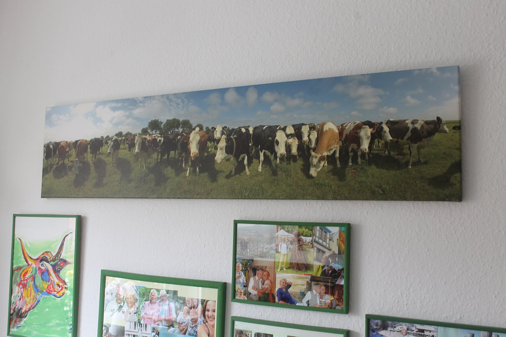 Curious company on Terschelling I, by Rens Janssens