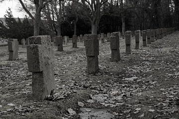 Photo en noir et blanc de tombes de guerre sur David Esser