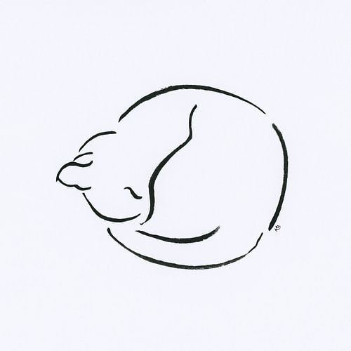 Chaton roulé en boule