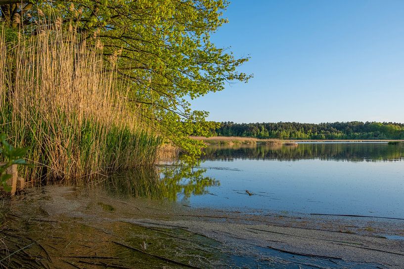 Teich bei Mönau in der Oberlausitzer Heide- und Teichlandschaft von Holger W. Spieker