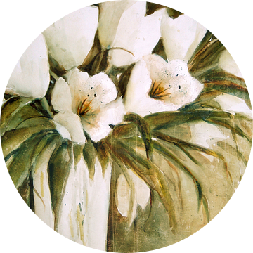 Witte Tulpen van Christine Nöhmeier
