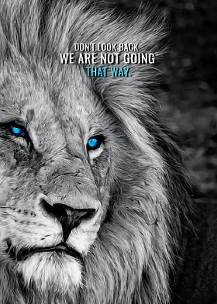 Leeuw Diermotivatie van Quotes Motivation