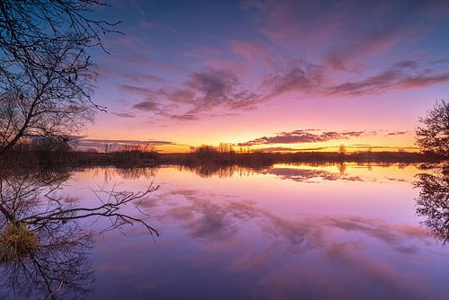 Deelen nature reserve