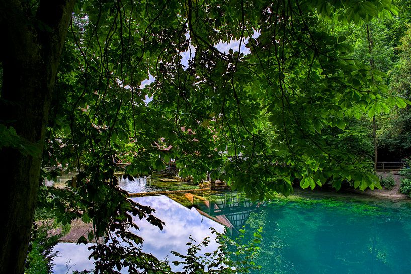 Swabia : The blue pot by Photoart-Naegele