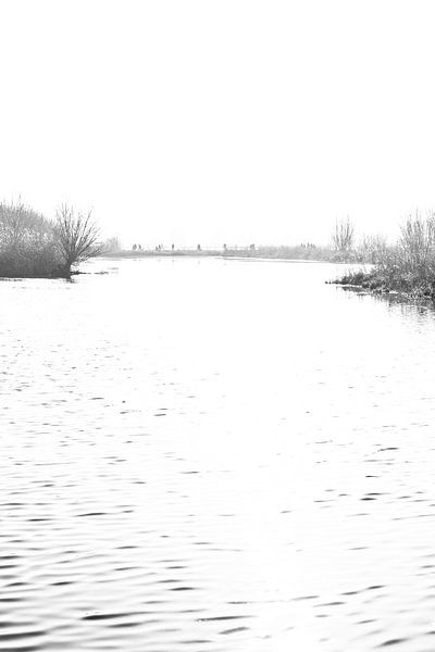 Doorkijkje naar de Reeuwijkse Plassen in zwartwit van de buurtfotograaf Leontien
