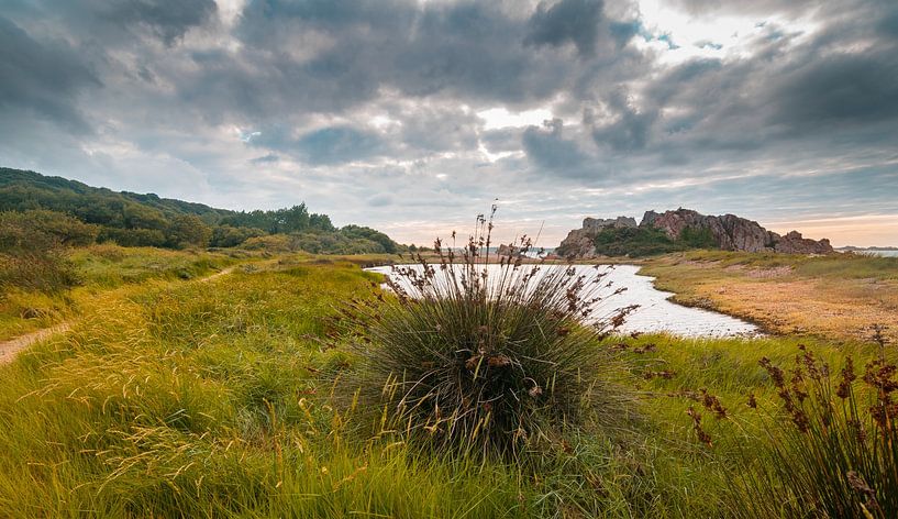 Ongerepte natuur van Bruno Quaegebeur