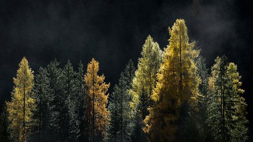 Herbstfarben auf den Bäumen in den Dolomiten