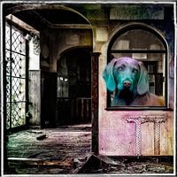Lost place kleurencombinatie
