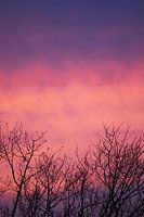 Un ciel coloré