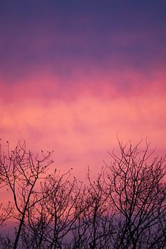 Colourful sky van Quinten Van Ooijen
