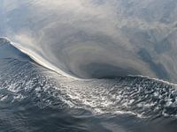 the Wave