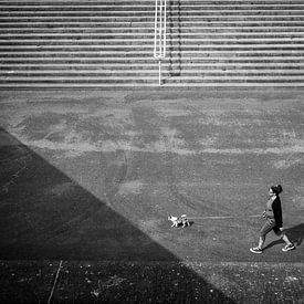 Wandelaar met hond over de Maasboulevard in Maastricht van Streets of Maastricht