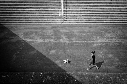 Walker with dog on the Maasboulevard in Maastricht