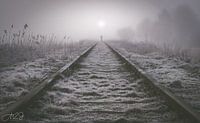 Verloren im Nebel von A2J Photography Miniaturansicht