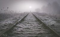 Lost in the fog
